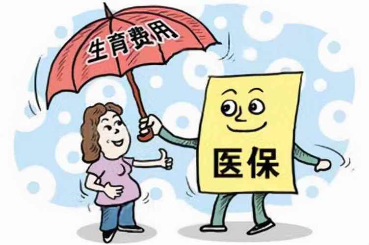 无工作生育保险报销