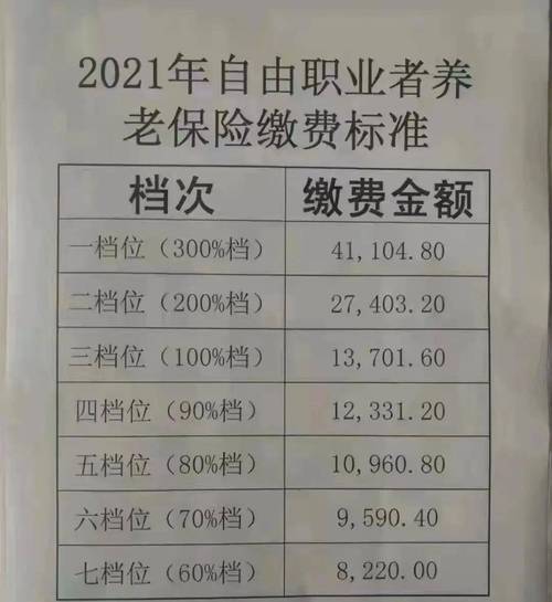 养老保险个人缴费明细