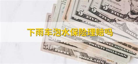 台风车泡水了保险赔吗
