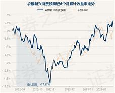 中加纯债基金000914