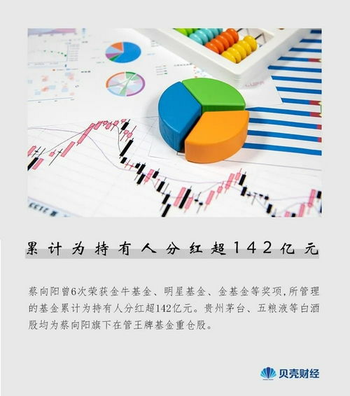 演讲稿基金的奥秘与财经智慧