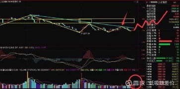 股票行情快报：新晨科技（）月日主力资金净买入万元