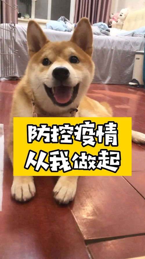一季度财报