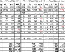 新凤鸣cio